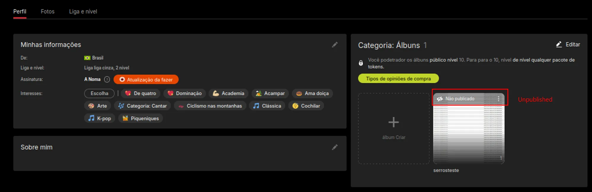 Album configured with Unpublished access mode